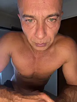 dogfrota online show from 03/10/26, 04:06