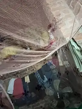 Shivanisingh4 online show from 03/25/26, 09:32