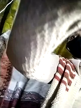 Ahilyalodhi online show from 01/12/26, 09:42