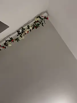 Missolevelvet online show from 04/23/26, 06:43