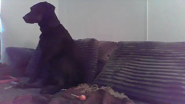 Snapshot of HungandHynotic chatting on 03/03/26, 01:01 HungandHynotic online show from 03/03/26, 01:01