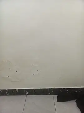 Snapshot of PatriciaVen chatting on 02/03/26, 06:22 PatriciaVen online show from 02/03/26, 06:22