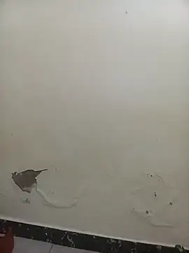 Snapshot of PatriciaVen chatting on 02/07/26, 05:44 PatriciaVen online show from 02/07/26, 05:44