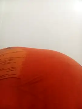 Snapshot of PatriciaVen chatting on 02/09/26, 04:16 PatriciaVen online show from 02/09/26, 04:16