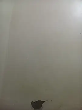 Snapshot of PatriciaVen chatting on 02/10/26, 04:05 PatriciaVen online show from 02/10/26, 04:05