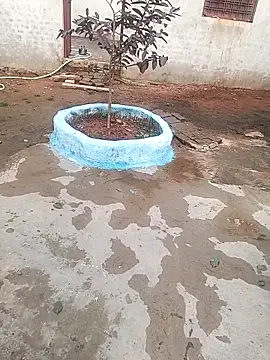 CUTE khusabi online show from 01/18/26, 06:28