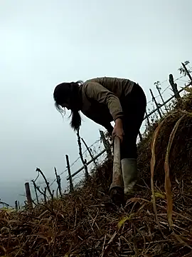 miumiu sexy2x online show from 04/01/26, 02:01