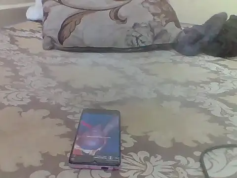 siphestripz online show from 04/29/26, 11:58
