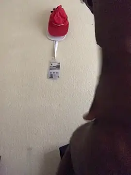 Sirbemine online show from 04/24/26, 11:23