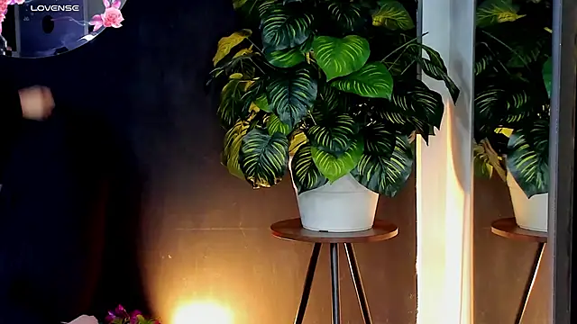 Noaah25  online show from 04/10/26, 03:23