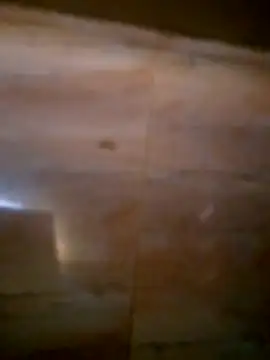 Xxxxxxxyssss online show from 06/30/26, 03:46