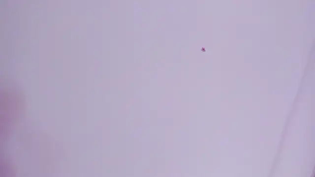 lovely  kiss   online show from 03/26/26, 06:13