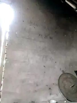 Gummiesu online show from 02/03/26, 06:40