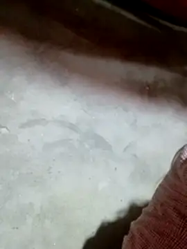 Gummiesu online show from 02/18/26, 05:53