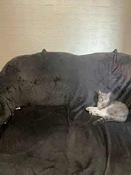 Snapshot of AlisRoxy chatting on 02/14/26, 02:14 AlisRoxy online show from 02/14/26, 02:14