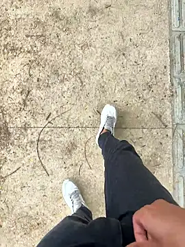 Novinho Pauzudo 18cm online show from 02/24/26, 03:43