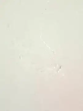 piccolo2002 online show from 04/27/26, 04:05