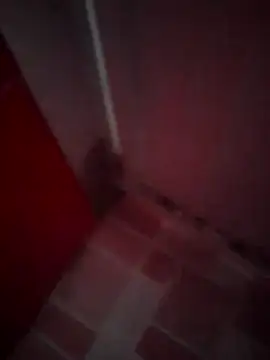 Cz Drax online show from 02/11/26, 06:24