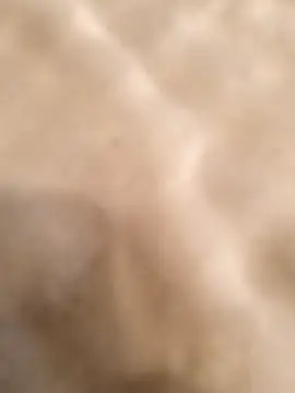 testmailx75 online show from 02/23/26, 09:23