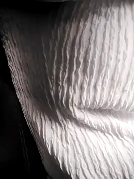 Snapshot of RosseLaure chatting on 02/25/26, 07:56 RosseLaure online show from 02/25/26, 07:56