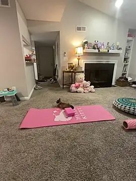 Snapshot of Pink_mink21 chatting on 02/03/26, 03:48 Pink mink21 online show from 02/03/26, 03:48