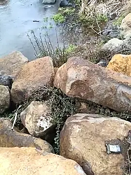 costt2 online show from 01/18/26, 11:03