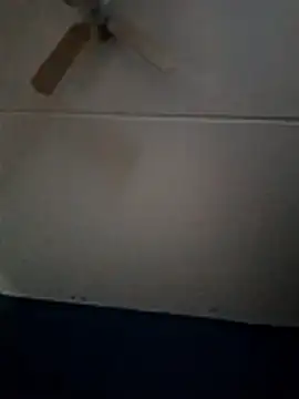 dewimp1 online show from 02/01/26, 10:14