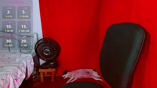 latin princess 12 online show from 02/12/26, 06:47