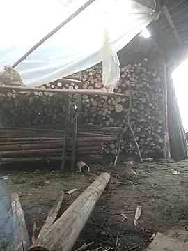 cutebobi online show from 02/03/26, 06:40