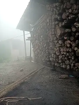 cutebobi online show from 03/23/26, 01:42