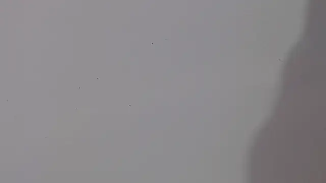 Snapshot of adara_cute_69 chatting on 02/05/26, 06:12 adara cute 69 online show from 02/05/26, 06:12