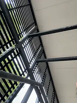 tyd247 online show from 03/10/26, 04:17