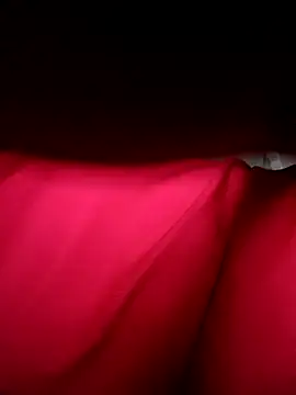 Hoa-tuylip online show from 04/11/26, 06:29