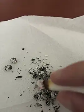 dickdondra online show from 02/02/26, 11:42