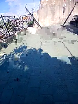 Luzz12 online show from 03/17/26, 01:14