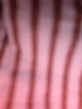 Heo xxinhxx online show from 04/14/26, 11:11