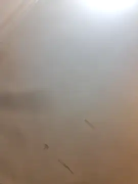 Cutytxx online show from 02/10/26, 10:47