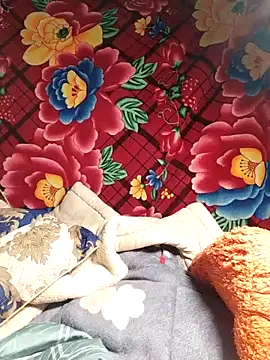 Snapshot of Reina_Fcup01 chatting on 02/14/26, 02:14 Reina Fcup01 online show from 02/14/26, 02:14