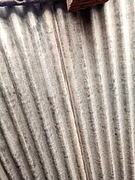 Riyakumari hot66 online show from 04/21/26, 05:25