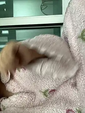 Snapshot of wjddjwjd chatting on 02/06/26, 11:52 wjddjwjd online show from 02/06/26, 11:52