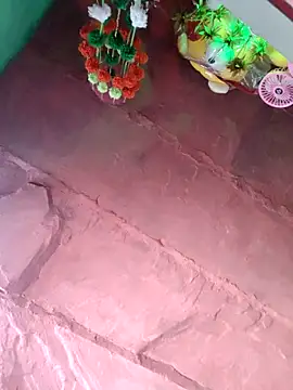 bhavna pandit online show from 05/03/26, 02:06