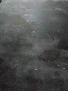 Sgs594802799 online show from 03/23/26, 08:24