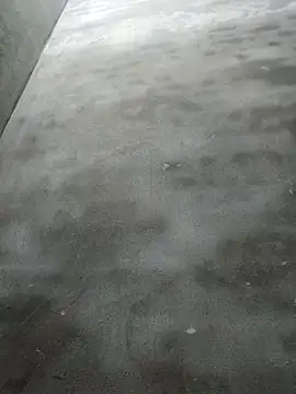 Sgs594802799 online show from 04/22/26, 08:17