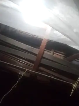 Snapshot of degeneradicto chatting on 02/15/26, 05:04 degeneradicto online show from 02/15/26, 05:04