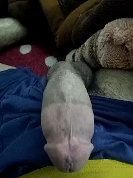 Snapshot of amirMohamed58 chatting on 02/23/26, 09:23 amirMohamed58 online show from 02/23/26, 09:23