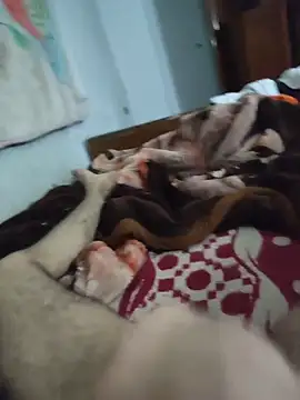 amirMohamed58 online show from 04/22/26, 05:58