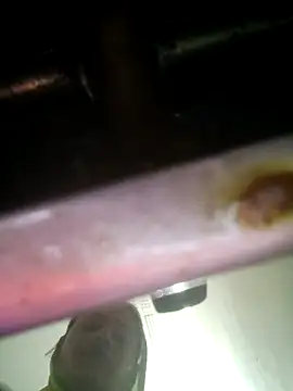 khushi rawat online show from 02/12/26, 02:17