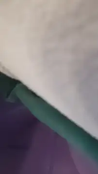 GassyClop online show from 04/04/26, 12:53