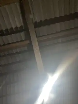 bikhidj online show from 04/21/26, 01:39