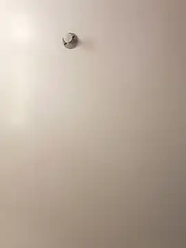 Cati cat3 online show from 02/07/26, 04:43